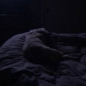 Meet your Posher, Dorie